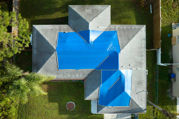 Best Roof Maintenance and Cleaning  in Mount Zion, GA