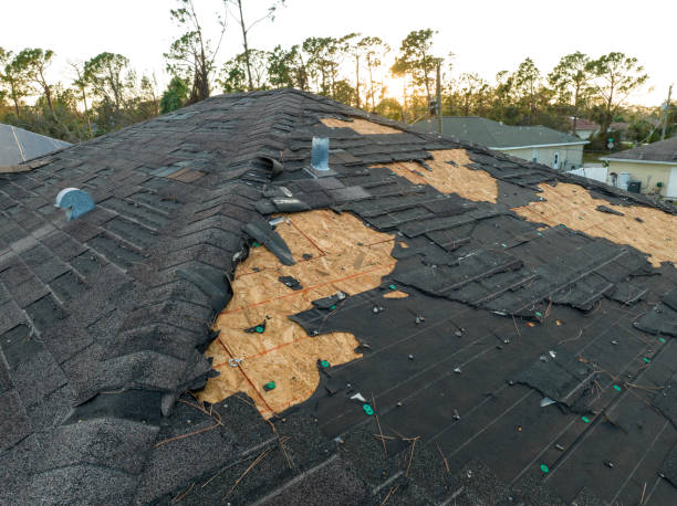 Best Tile Roofing Installation  in Mount Zion, GA