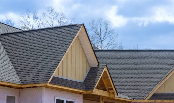 Best Roof Ventilation Installation  in Mount Zion, GA
