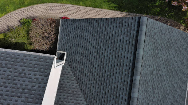 Best Skylight Installation and Repair  in Mount Zion, GA